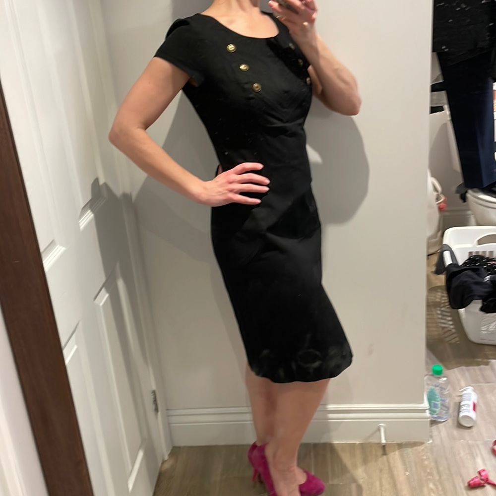 Birds of North America secretary dress 👓🔥🧨